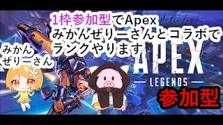 【APEX エーペックスレジェンズ】2024/10/1 みかんぜりーさんとコラボ、1枠参加型Apexランク配信【ゲーム実況】