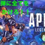 参加型Apex［ジャスミ］