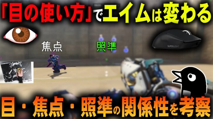 【FPS解説】エイムの始まりは「目」から。「目の使い方」があまりよろしくないと連鎖的にエイムが崩れ、トラッキングも上手くいかないという考察・解説