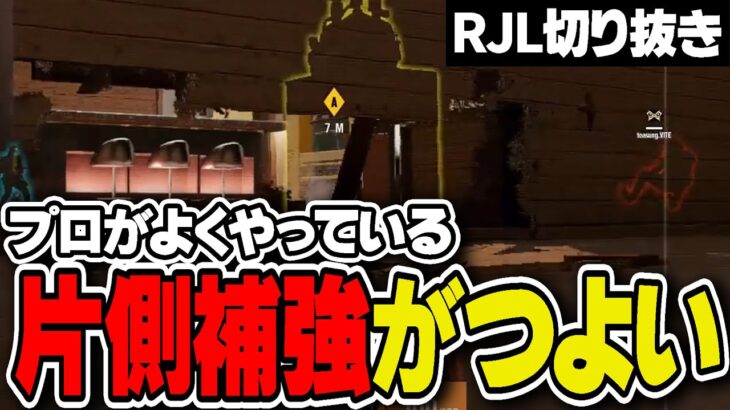 プロがよくやっている”片側補強”がめちゃくちゃ強い件【RJL切り抜き】- R6S