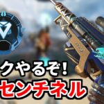 ガチセンチネルでランク マスターまでもうすぐ！ | TIE Ru, J0hn,ぐっちゃん | Apex Legends