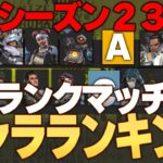 【シーズン23】APEX新シーズン、ランクマッチキャラクターランキング！！【Apex Legends】