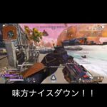 【APEX】体力把握出来たおかげで勝った