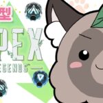 apex たぬき　プラチナ　参加型　ランク　初見さんも大歓迎