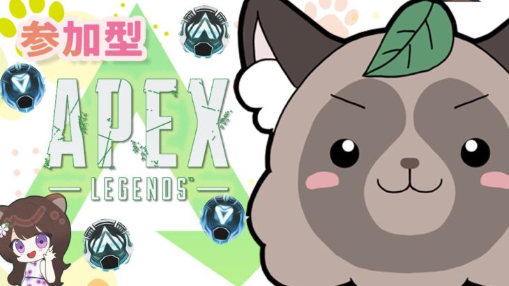 apex たぬき　プラチナ　参加型　ランク　初見さんも大歓迎