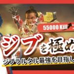 【APEX】下手になりすぎたジブラルタル5万kill元プレデターの配信【こてつ。/初見さん大歓迎】