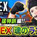 【APEXランク】魂のソロ！爆盛するゾ！全力で猛特訓して大会本番に備えるぜぇえ編!!!!【ハセシン】Apex Legends