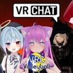 【フルトラ配信】見た目はバレー大会！【#Vtuber #vrchat 】