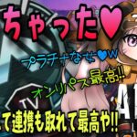 プラチナ到達!!!!🖤プレ5不慣れ🔰配信【ランクマクマモール❤️☆彡】#コンジット#APEX #エーペックス