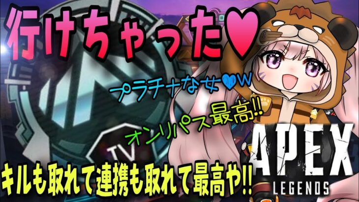 プラチナ到達!!!!🖤プレ5不慣れ🔰配信【ランクマクマモール❤️☆彡】#コンジット#APEX #エーペックス