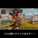 【APEX】リスポン狩りしに来た敵を殴り飛ばした