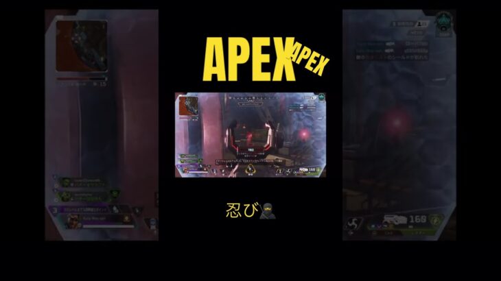 【APEX】後ろから#APEX#apex #apexlegends #エーペックス #ダイヤ帯 #ミラージュ #lスター