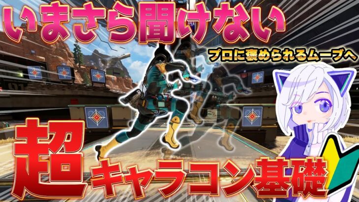 【APEX】キーマウキャラコンの基礎解説します。【手元ありPCキャラコン】