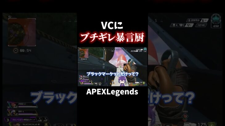 VCに来た暴言厨がブチギレて最悪なことに【APEX】