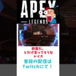 #レイス#ゲーム実況 #apex #エーペックス #apexlegends #ゲーム配信 #新人歌い手 #エーペックスレジェンズ #センチネル