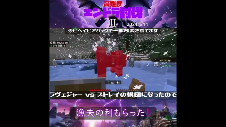 【マイクラ】漁夫の利もらった！　 from　高難度エンドラ討伐Ⅱ　2024/12/14　#Minecraft　#Shorts