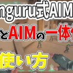 【ryanguru式AIM理論】視線とAIMの一体化と目の関係性とは…！【ゆっくり解説】