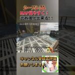 シーズン24　気が付いたアプデ　#shorts #short #apex #apexlegends