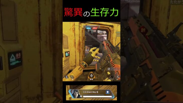 (利用者さん作成）アプデ前の試合 #APEX  #キル集 #shorts