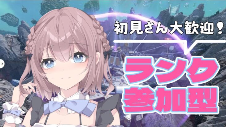 APEX  ランク参加型　ダメージ勝負！初見さん優先🐱