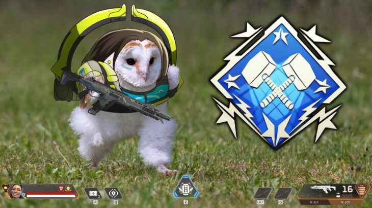 【APEX】ｴｯﾎｴｯﾎ  ダブハン取らなきゃ！