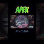 【APEX】センチネルヘンテコキル集〜#APEX#apexlegends #apex #エーペックス #コースティック専 #かっこいいキル集