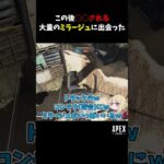 この後ドナドナされる大量のミラージュに出会った【Apex Legends】#shorts #apex #apexlegends #エーペックスレジェンズ