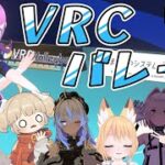 【フルトラ配信】バレーボールワールドで遊ぶよ！！【#Vtuber #vrchat 】