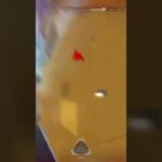 レイスはクナイあるから使うだけである。#apexlegends #エーペックス #shorts