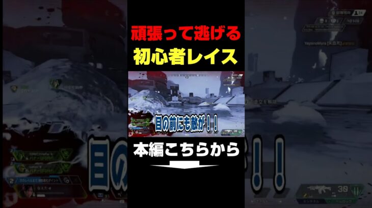 【APEX】頑張って逃げる初心者レイスがうるさ過ぎるwwwww #APEX  #エペ #apexlegends