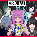 【フルトラ配信】バレーボールで遊ぶよ！！【#Vtuber #vrchat 】