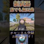 新武器が無反動すぎてやばいwww【荒野行動】