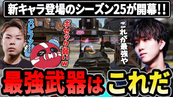 【シーズン25開幕】新シーズンの最強武器はこれです【1tappy/cheeky/HammerDrill/RIDDLE/APEX】