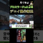 【解説】これだけやれば勝率上がる。元プロが使うミラージュの”デコイ操作3選”【みらたんぐ】