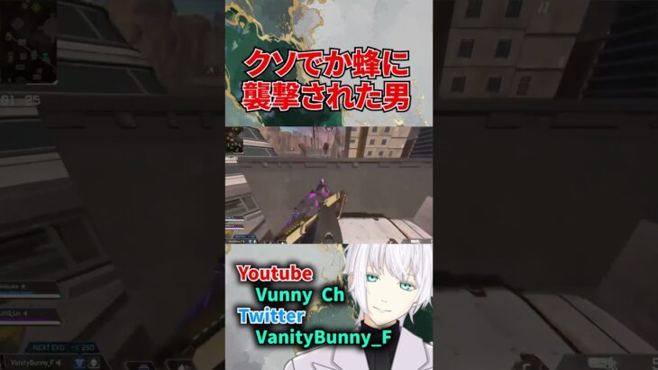 3年前APEXを遊んでいたときに蜂に襲われました【APEX】#shorts