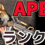 【参加型】元ソロプレデターがプラチナ帯でランクマッチをやるけど次回ALGSを目指してメンバー募集しつつバンガピストルスナイパー生活19日目アリーナがアプデされたらしいけどキルってトラッカーどう？配信