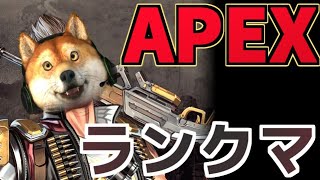 【参加型】元ソロプレデターがプラチナ帯でランクマッチをやるけど次回ALGSを目指してメンバー募集しつつバンガピストルスナイパー生活19日目アリーナがアプデされたらしいけどキルってトラッカーどう？配信