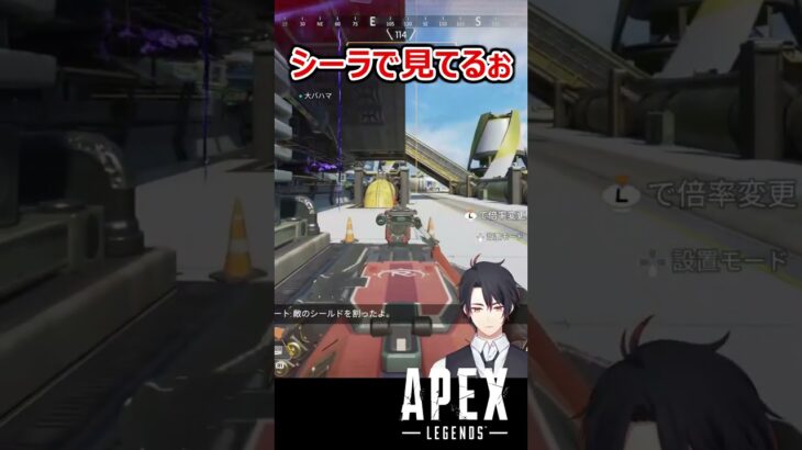 【APEX】シーラ見えたら無理せず隠れよう #shorts #vtuber #apex #新人vtuber #apexlegends #ゲーム実況 #ゲーム配信