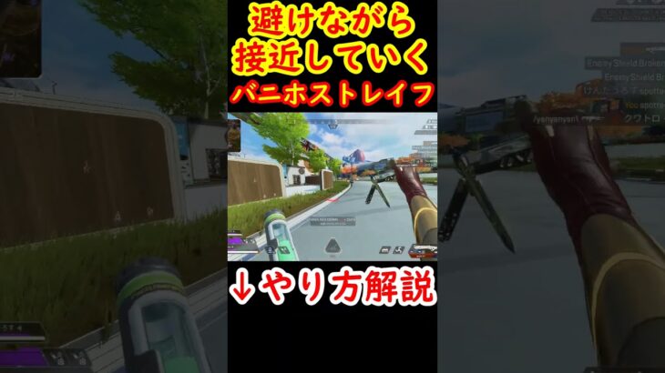 【前バニホストレイフ】避けながらガッツリ接近する方法【Apexキャラコン】 #apex #apexlegends #キャラコン