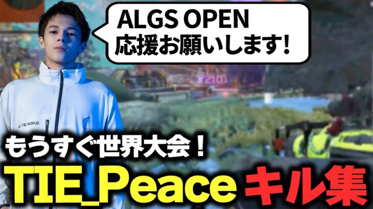 【キル集】初の世界大会に向けて仕上がってる男PeaceのHighlights #11【APEX/Peace/ピース/peace/MnK】