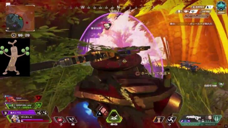 apex　PC移行初season24キル集