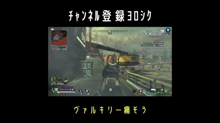 ヴァルキリーの重力がバグって痛そう