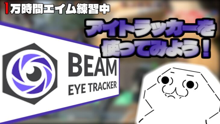 アイトラッカーを使った動画を投稿する予定が・・・【1万時間エイム練習中】