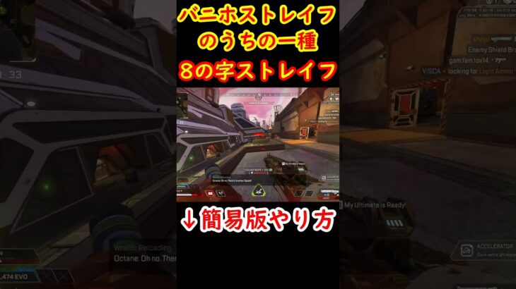 8の字を描くバニホストレイフ【Apexキャラコン】 #apex #apexlegends #キャラコン