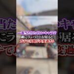 【APEX】 一番当たりたくないキャラ！？敵にランパートが居るとガチで攻略が大変過ぎる#apex #apexlegends #fyp #おすすめ #tiktok #ゲーム #shorts