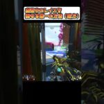 『APEX解説』虚空中のレイスをダウンすら入れずに確殺する唯一の方法←しかも味方【マスター/ダイヤ/プラチナ】 #shorts