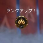 【Apex Legends】プラチナタッチを目標に行く、初心者の復帰ランク　シルバーⅣ