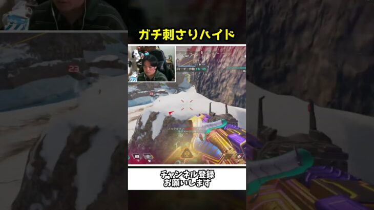 引いたと見せかけて味方をおとりに神ハイドｗｗ【Apex Legends】【あゆむ】#shorts