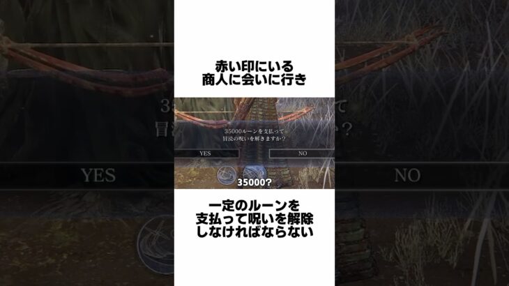 襲撃イベントに関する雑学#shorts #エルデンリング #ナイトレイン