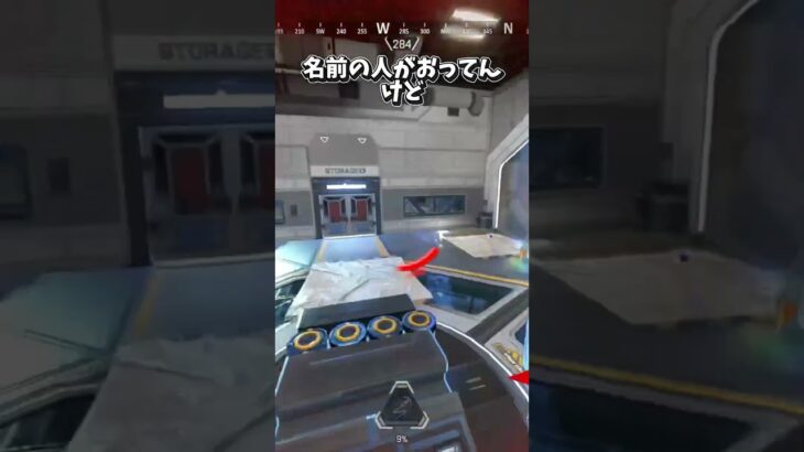 【APEX】野良の名前がコレならキャラ譲るしかないじゃん… #apex #apexlegends #エーペックス